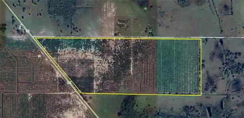 0 Goose Pond Rd, Ona, FL 33865