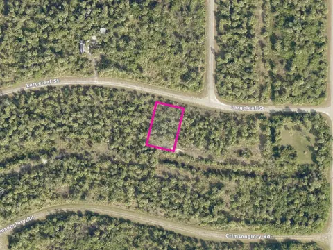 Largeleaf Street, North Port, FL 34288