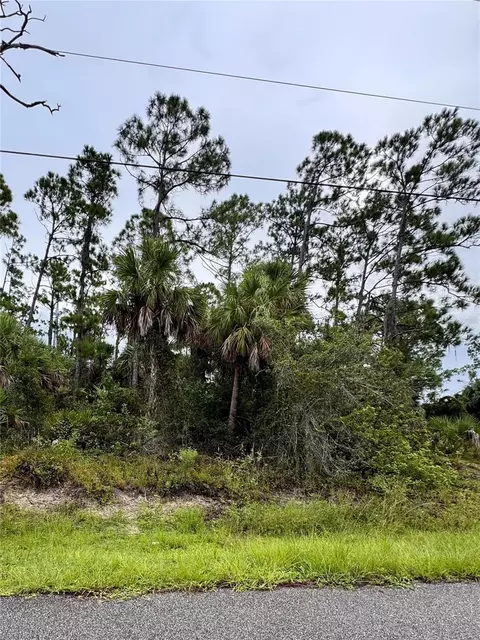 Sadnet Lane, North Port, FL 34286