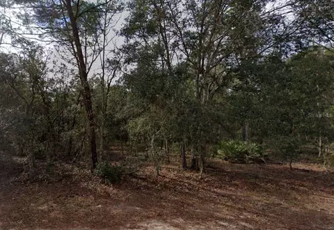 917 David Ave, Interlachen, FL 32148