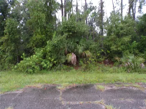 Nocturn Street, North Port, FL 34288