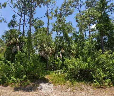10046 Flat River St, Port Charlotte, FL 33981