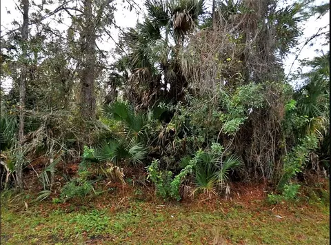 Thomas Lane, North Port, FL 34286