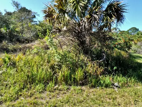 Patio Terrace, North Port, FL 34286