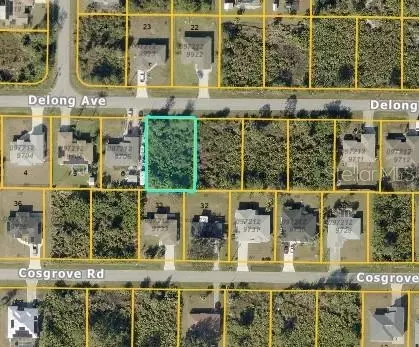 Delong Avenue, North Port, FL 34291