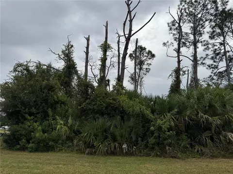 Amnesty Drive, North Port, FL 34288