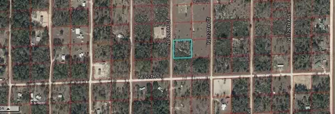 Northeast 126 Court, Williston, FL 32696