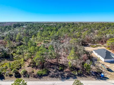 18079 Ramsey Rd, Weeki Wachee, FL 34614