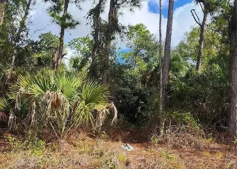Ananas Road, North Port, FL 34288