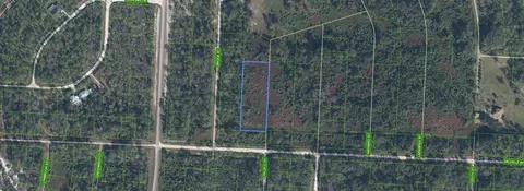 810 Pacific St, Lake Placid, FL 33852