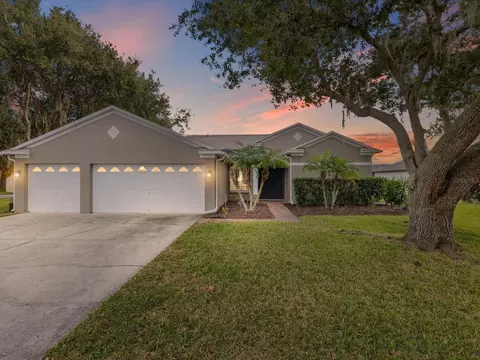 19719 Spring Willow Ct, Odessa, FL 33556