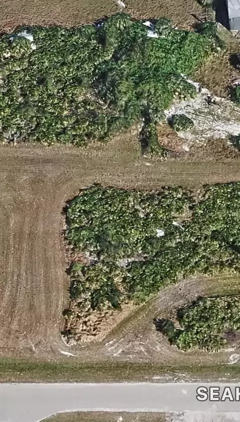 16 Seahawk Ct, Placida, FL 33946 photo 2