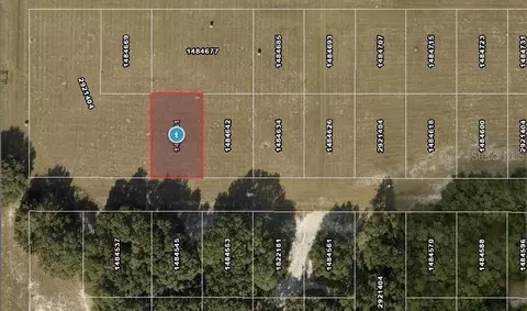 SW 136th Avenue, Ocala, FL 34481