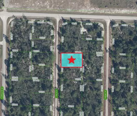 1255 Lorca St, Lake Placid, FL 33852