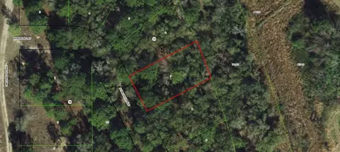 1006 Ferncreek Ave, Inverness, FL 34453