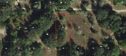 2409 Tyler St, Inverness, FL 34453
