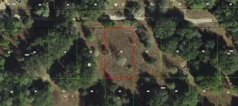 2407 Tyler St, Inverness, FL 34453