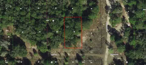 1902 Victor St, Inverness, FL 34453