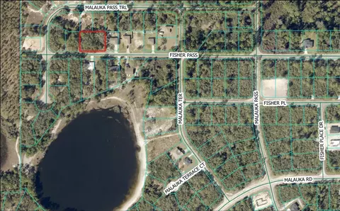 Fisher Pass, Ocklawaha, FL 32179
