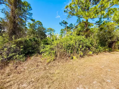 2007 Truman Ave, Alva, FL 33920