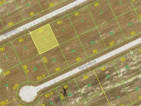 12252 Tripletail Dr, Placida, FL 33946 photo 2