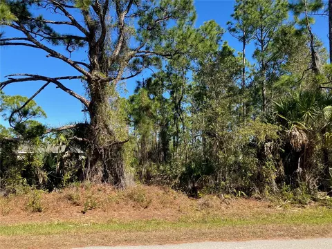 26334 Eager Rd, Punta Gorda, FL 33955 photo 5