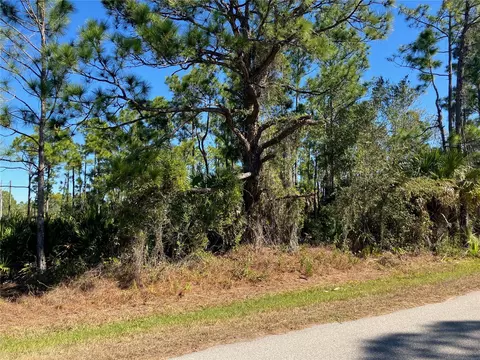 26334 Eager Rd, Punta Gorda, FL 33955 photo 4