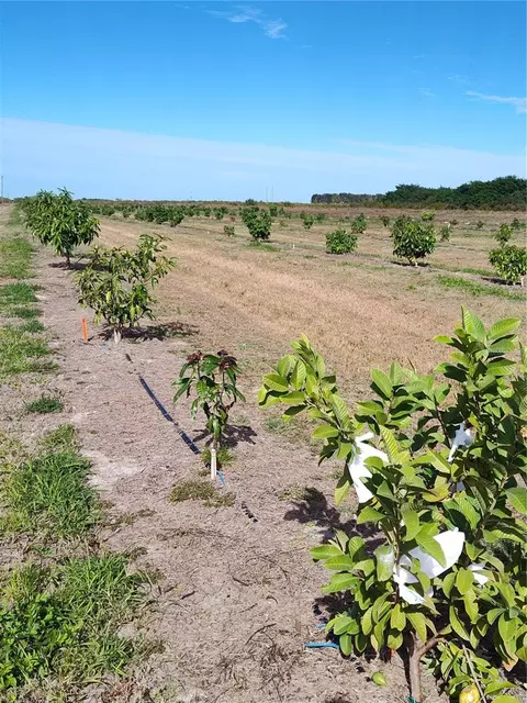Undisclosed, Arcadia, FL 34266 photo 21