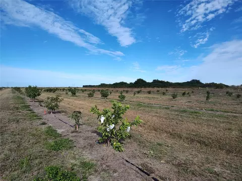 Undisclosed, Arcadia, FL 34266 photo 25