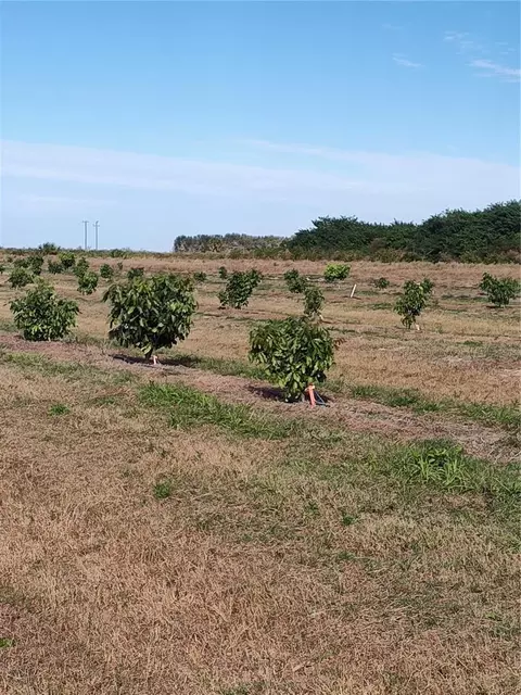 Undisclosed, Arcadia, FL 34266 photo 23