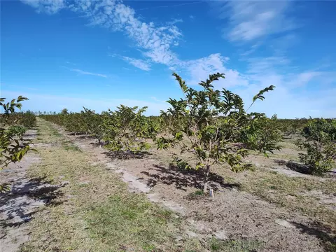 Undisclosed, Arcadia, FL 34266 photo 11