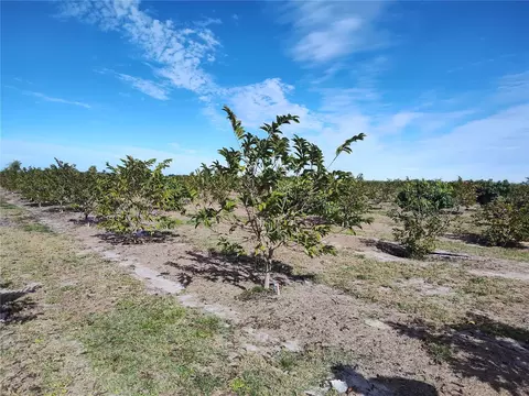 Undisclosed, Arcadia, FL 34266 photo 10