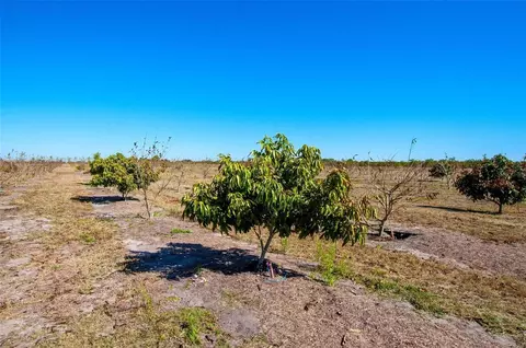 Undisclosed, Arcadia, FL 34266 photo 9