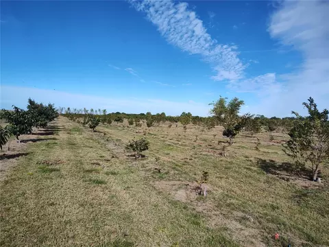 Undisclosed, Arcadia, FL 34266 photo 16