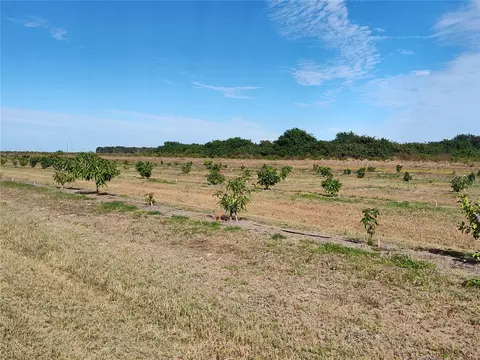 Undisclosed, Arcadia, FL 34266 photo 20
