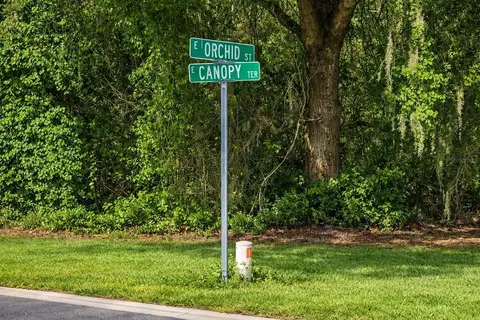 6619 N Canopy Ter, Hernando, FL 34442 photo 3
