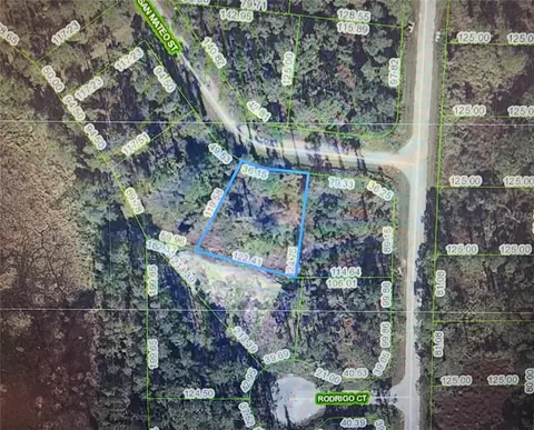 8674 San Mateo St, Sebring, FL 33872