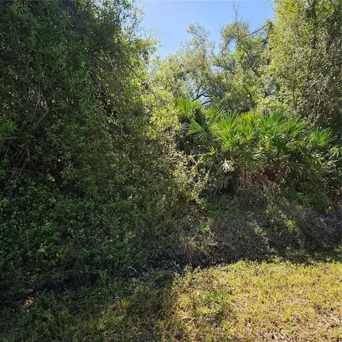 Janaro Road, North Port, FL 34288