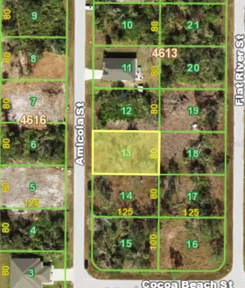 10118 Amicola St, Port Charlotte, FL 33981