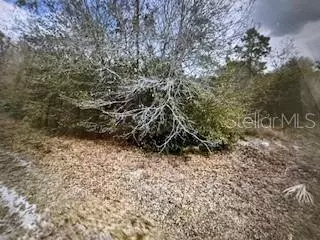 13274 Caloosa Dr, Punta Gorda, FL 33955