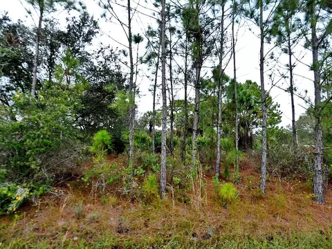 Loffreda Lot #8 Avenue, North Port, FL 34291