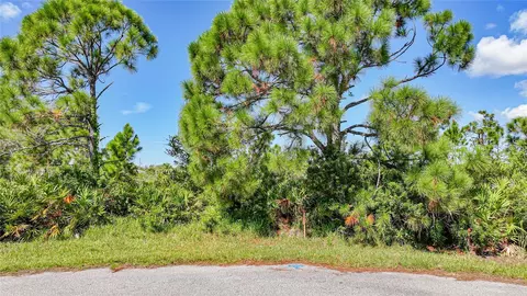 12 Dog Ct, Placida, FL 33946