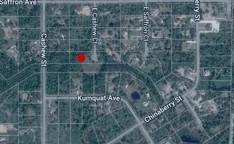 E Cashew Court, Eustis, FL 32736