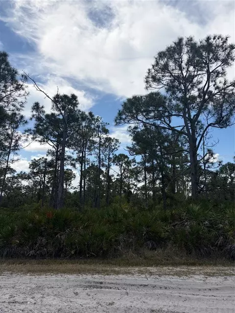 28078 Ramiro Dr, Punta Gorda, FL 33955