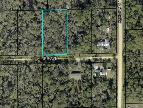 6296 Alder Ave, Bunnell, FL 32110