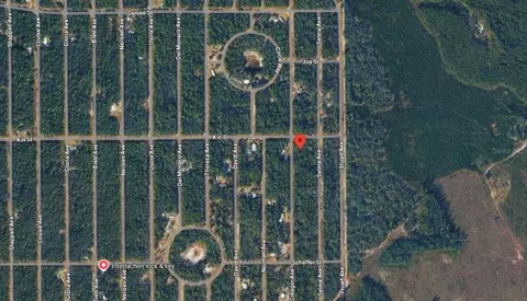 Creager Avenue, Interlachen, FL 32148 photo 5