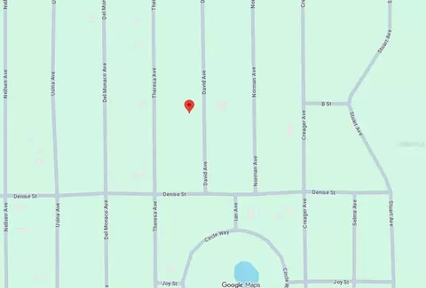 David Avenue, Interlachen, FL 32148 photo 5