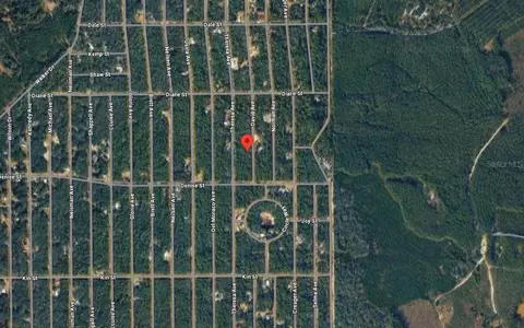 David Avenue, Interlachen, FL 32148 photo 4
