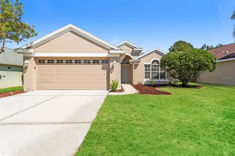23211 Bayou Grove St, Land O Lakes, FL 34639