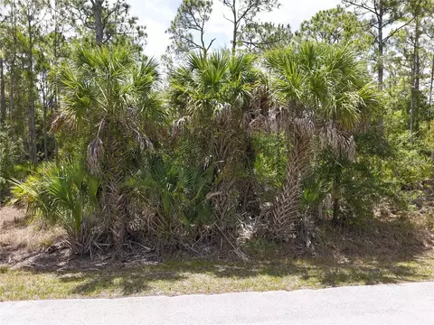 12226 Ripple Dr, Punta Gorda, FL 33955